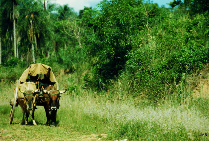 AÑO 1983 - COLOR - VIDA CAMPESINA EN PARAGUAY (JOSÉ MARÍA BLANCH)
